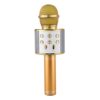 Portable Wireless Karaoke Microphone- USB Charging_0