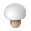 3 Step Dimming Portable Mushroom LED Night Lamp- USB Charging_0