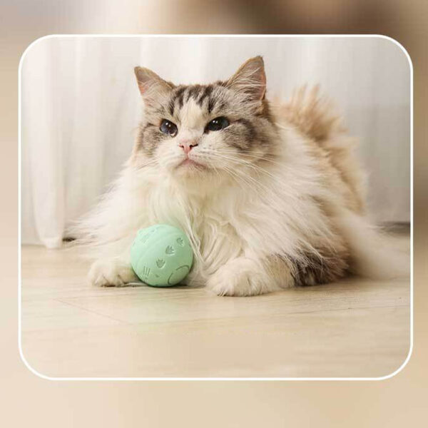 USB Rechargeable Interactive Automatic Bouncing Ball Pet Toy_7