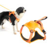 Ultimate 2-in-1 Reflective No-Pull Dog Harness with Retractable Leash and Control Handle_0