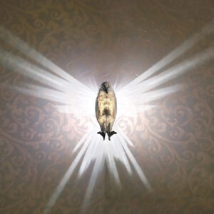 3D Resin Animal Statue and Wall Lamp Home Decoration- Battery Operated_0